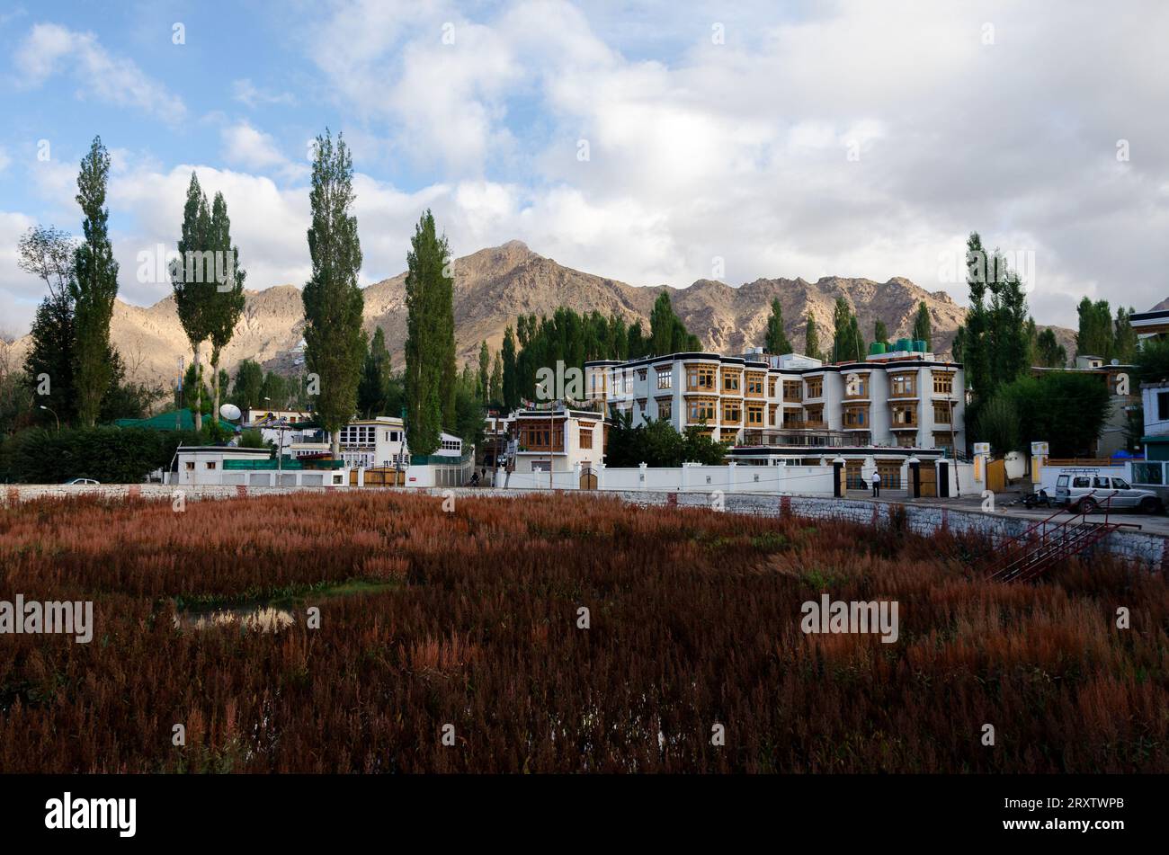 Leh city, Ladakh, India Stock Photo