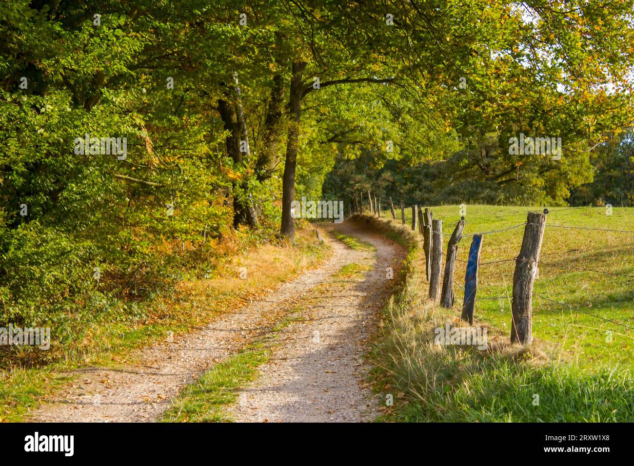 Autumn in the Lower Rhine Region, Germany Stock Photo