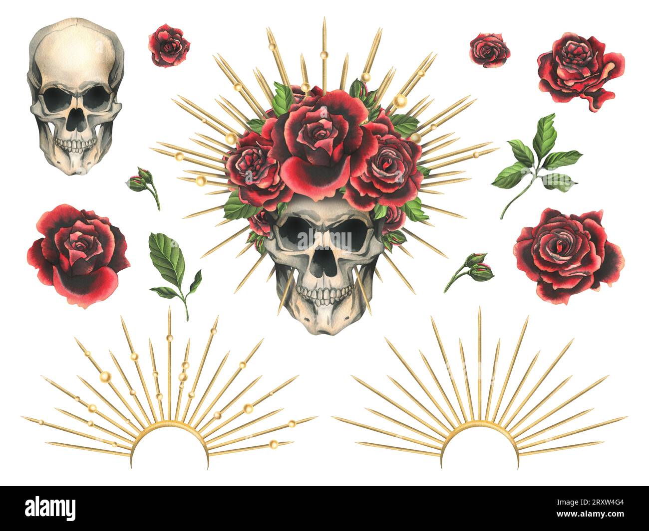 Human skull with red flowers rose in a golden crown with thorns, rays. Hand drawn watercolor illustration for day of the dead, halloween, Dia de los Stock Photo