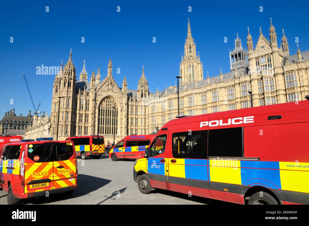 Met Police vans outside Palace of Westminster / Houses of Parliament, London, UK. Red vans are the Parliamentary and Diplomatic Protection Group PADP. Stock Photo