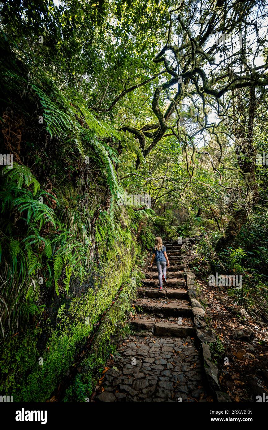 Scenic view of a little girl climbing the stone steps of a hiking trail ...