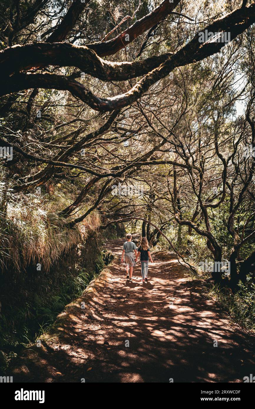 Scenic view of two young children, siblings, walking hand in hand under ...
