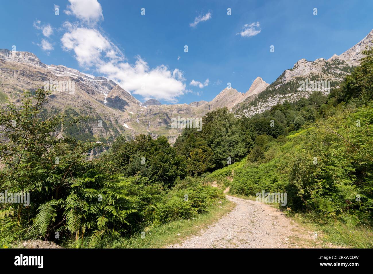 Pineta valley hi-res stock photography and images - Alamy