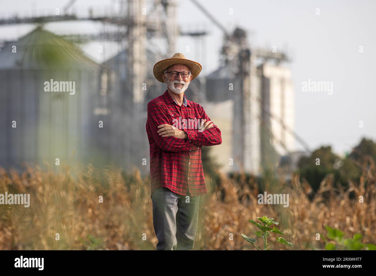 Portrait of senior farmer with straw hat standing in front of grain ...