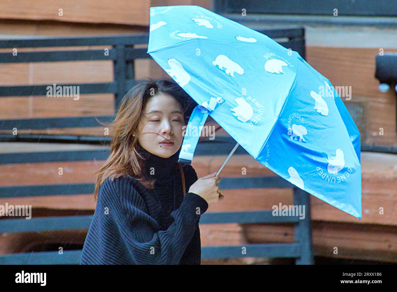 Glasgow, Scotland, UK. 27th September, 2023. UK Weather: Storm Agnes produced a windy wet day in the west end and city centre. Credit Gerard Ferry/Alamy Live News Stock Photo