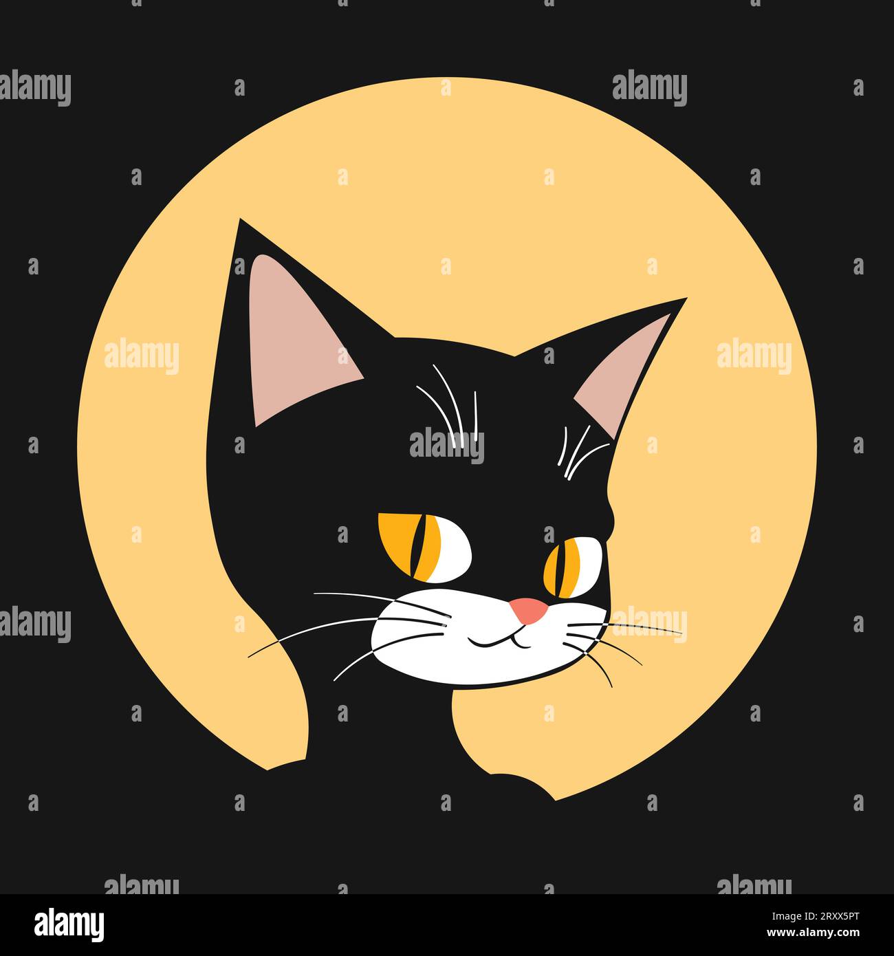 Cartoon Black cat, Pets Animals. Vector illustration Stock Vector Image