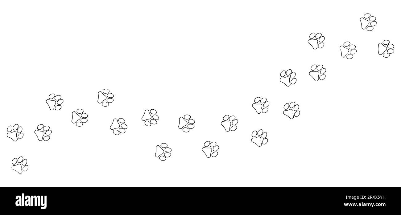 Track of paw footprints from a cat, tiger, lion, jaguar, panther, leopard, snow bars, cougar, cheetah, felines. Silhouette diagonal track. Vector. pet shop textiles print clothes web design Stock Vector