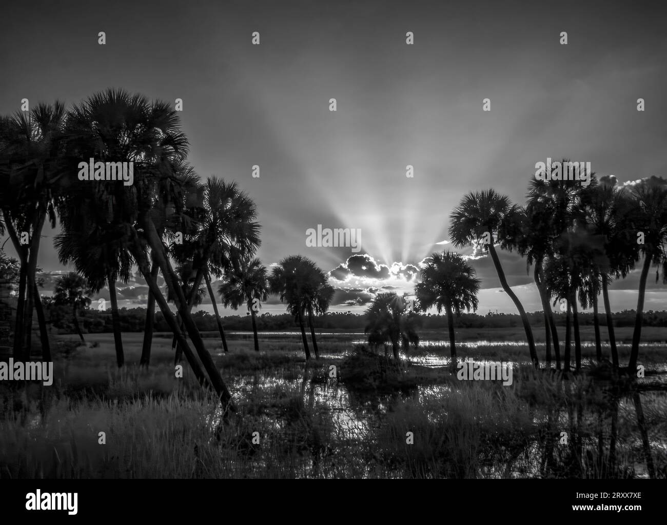 Infrared Red black and white image of sun with sun rays with clouds at