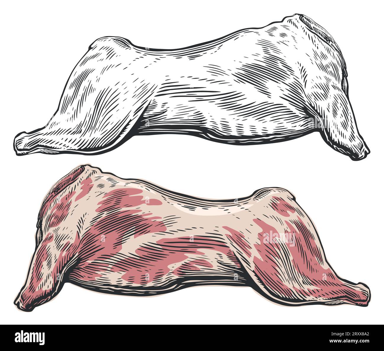 Whole raw meat carcass. Vector illustration engraving style Stock Vector