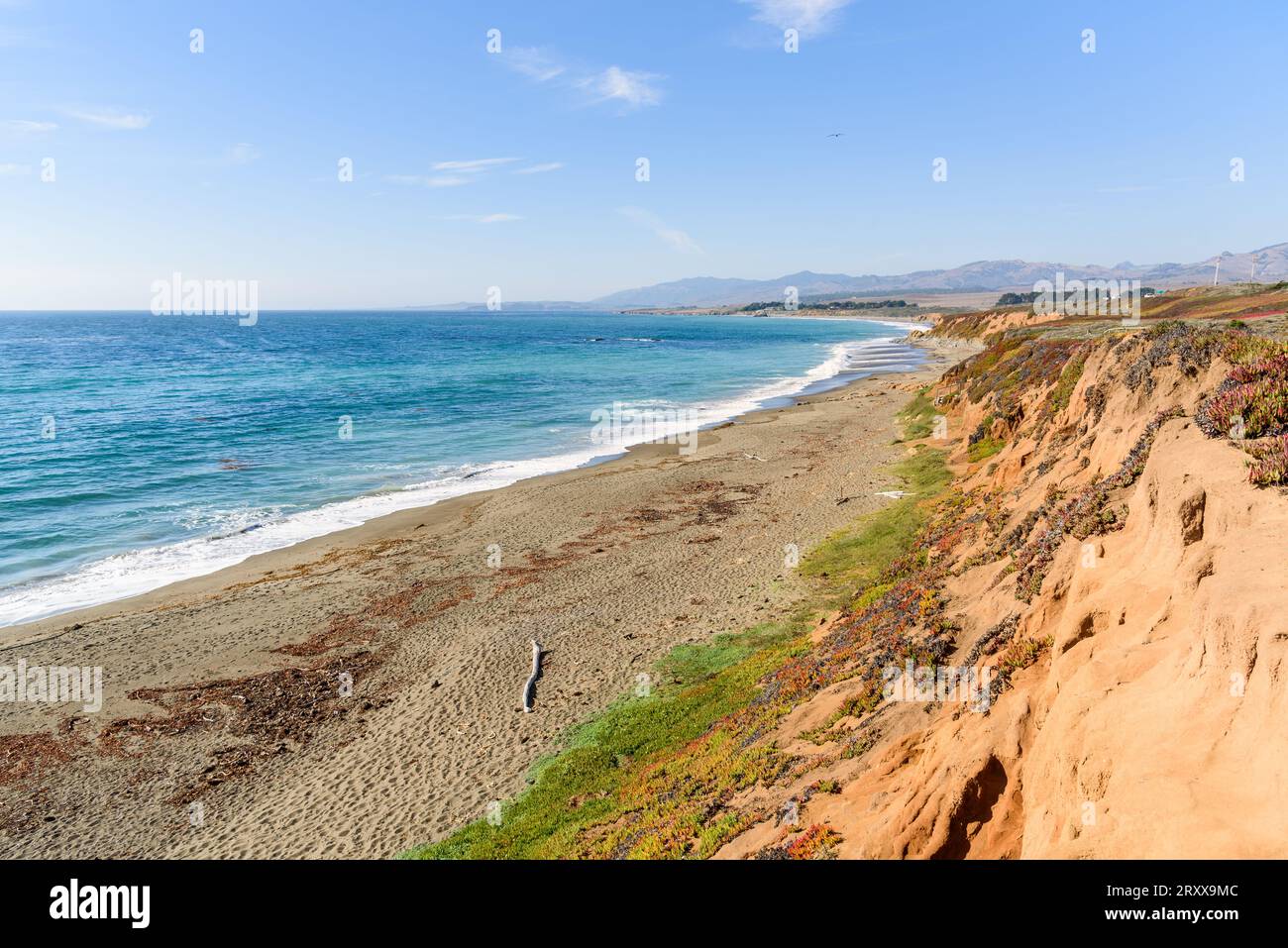 Deserted sandy beach at the foot of a steep cliff along the coast of California on a sunny autumn day Stock Photo