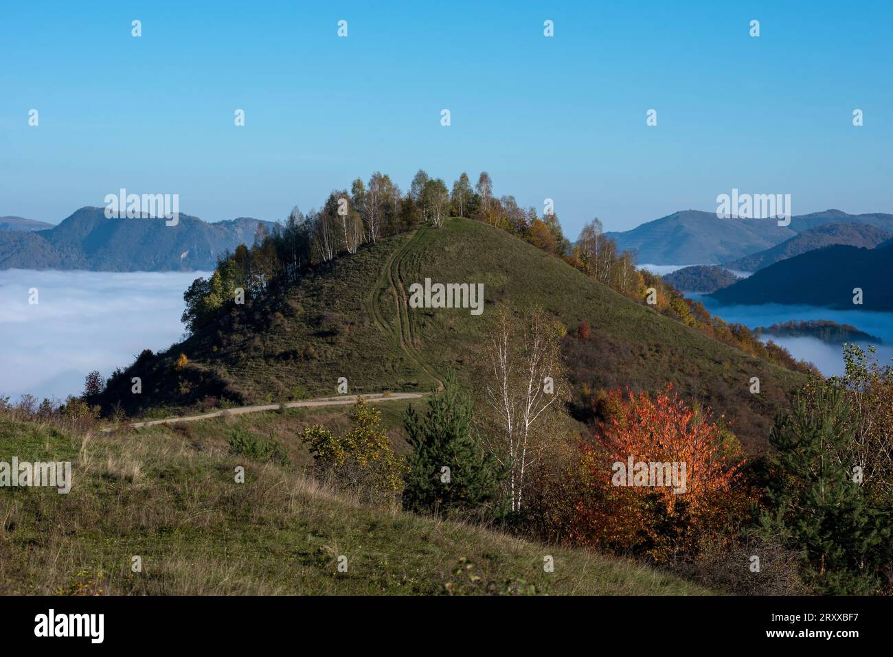 Misty morning haze in the valley in the autumn. Colorful autumn landscape Stock Photo