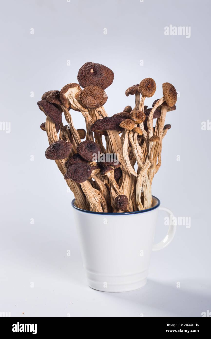 Dried velvet mushrooms, dry goods Stock Photo Alamy