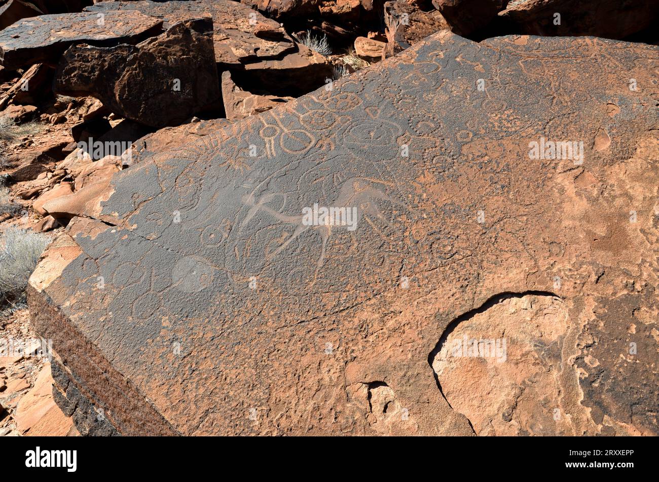 cave engravings in namibia Stock Photo