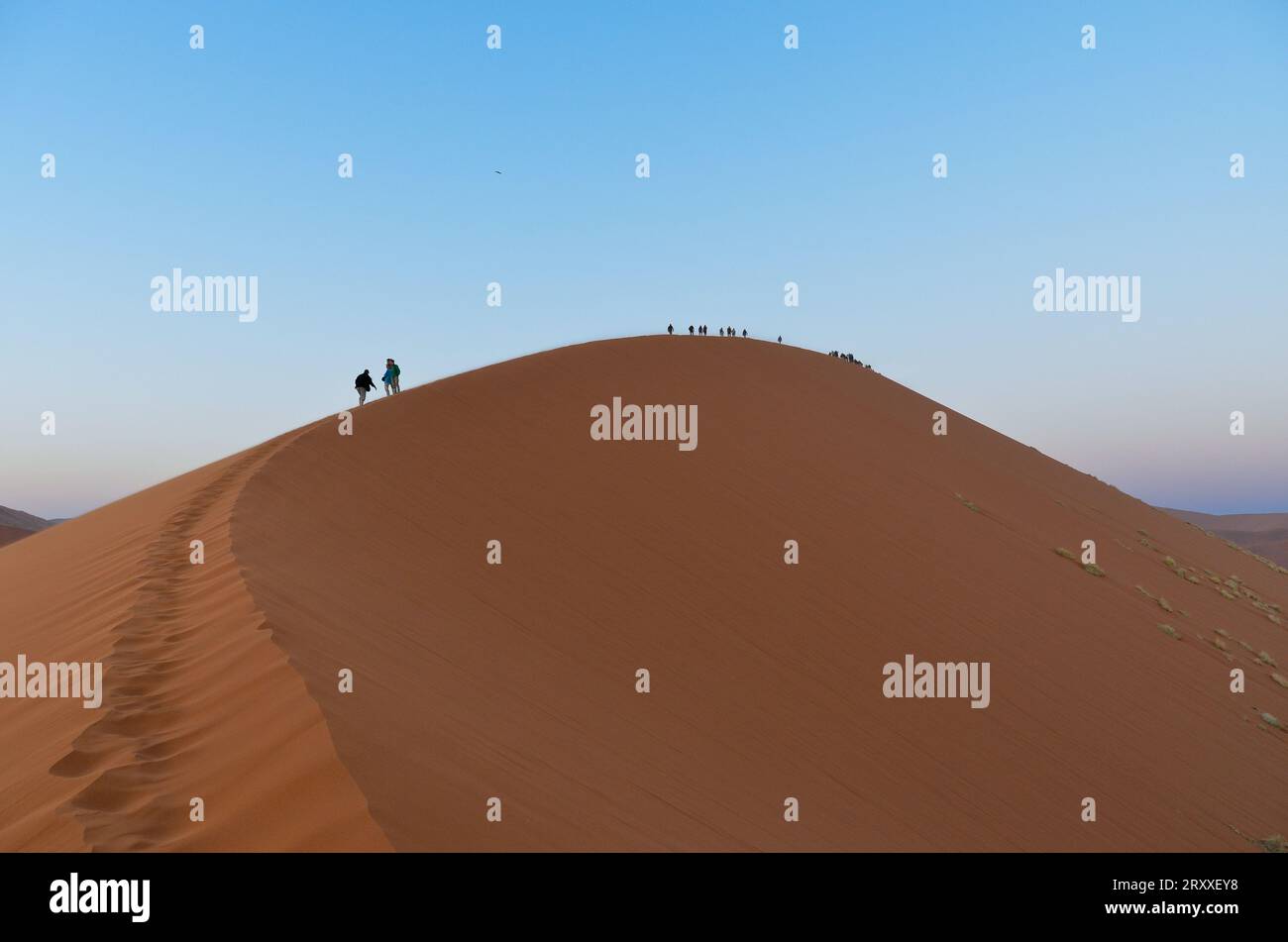 climbing dune 45 at the sunrise, namib desert Stock Photo