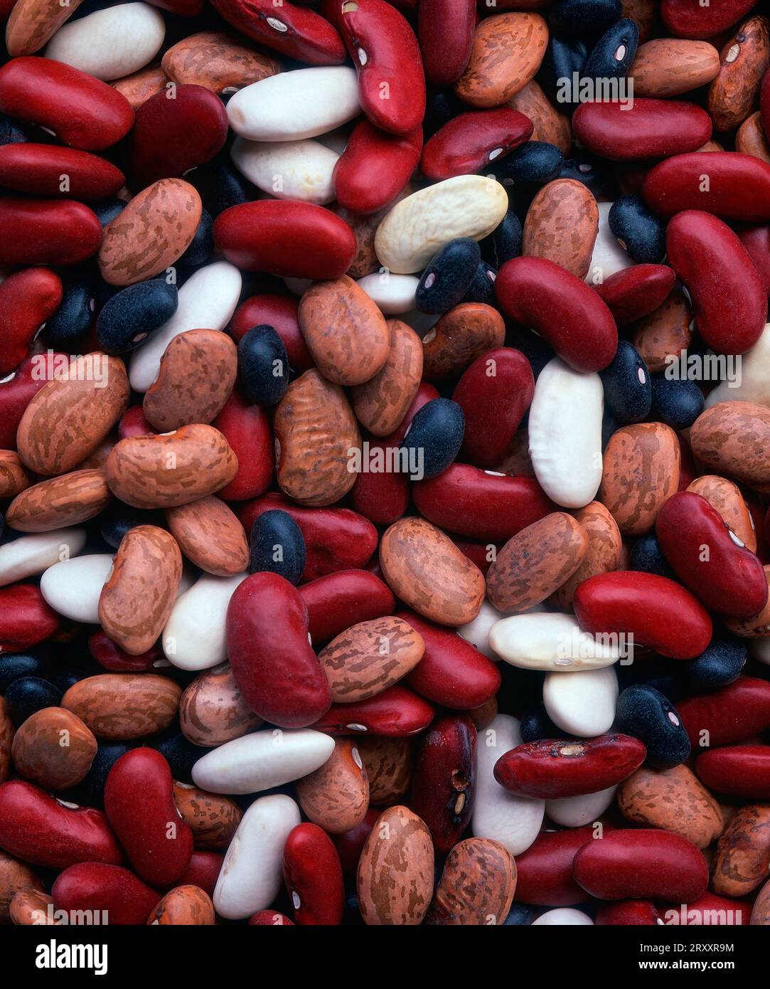 Beans, melange Stock Photo