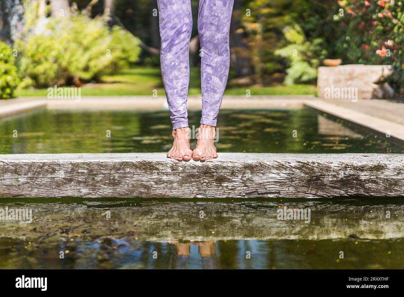 Tree trunk legs hi res stock photography and images alamy