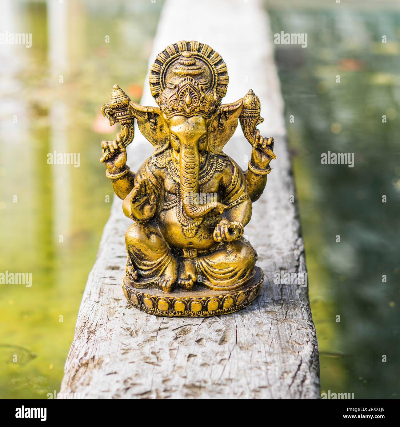 Gold Ganesha statue on a trunk over the water Stock Photo Alamy