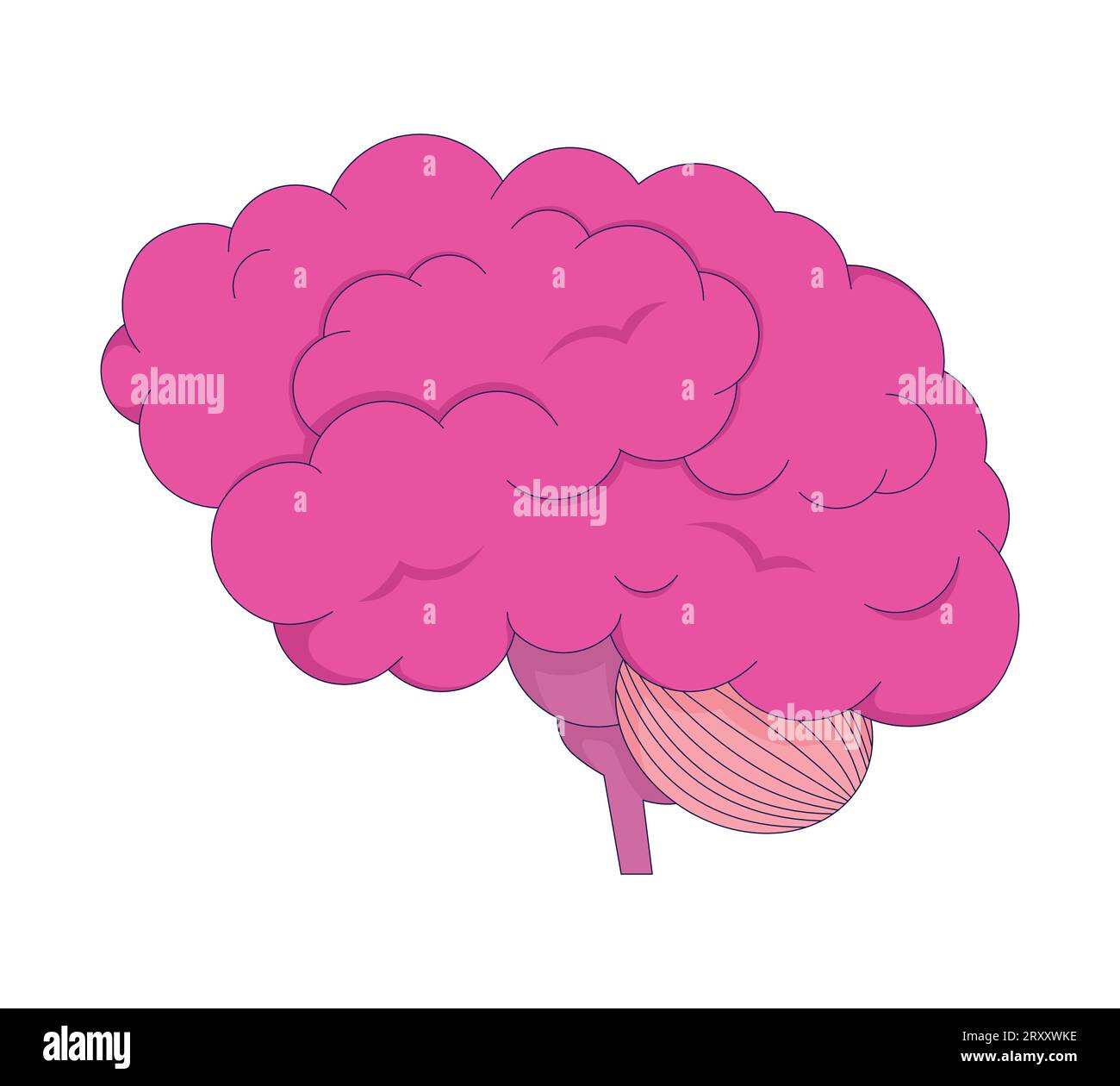 Human brain organ 2D linear cartoon object Stock Vector Image & Art - Alamy