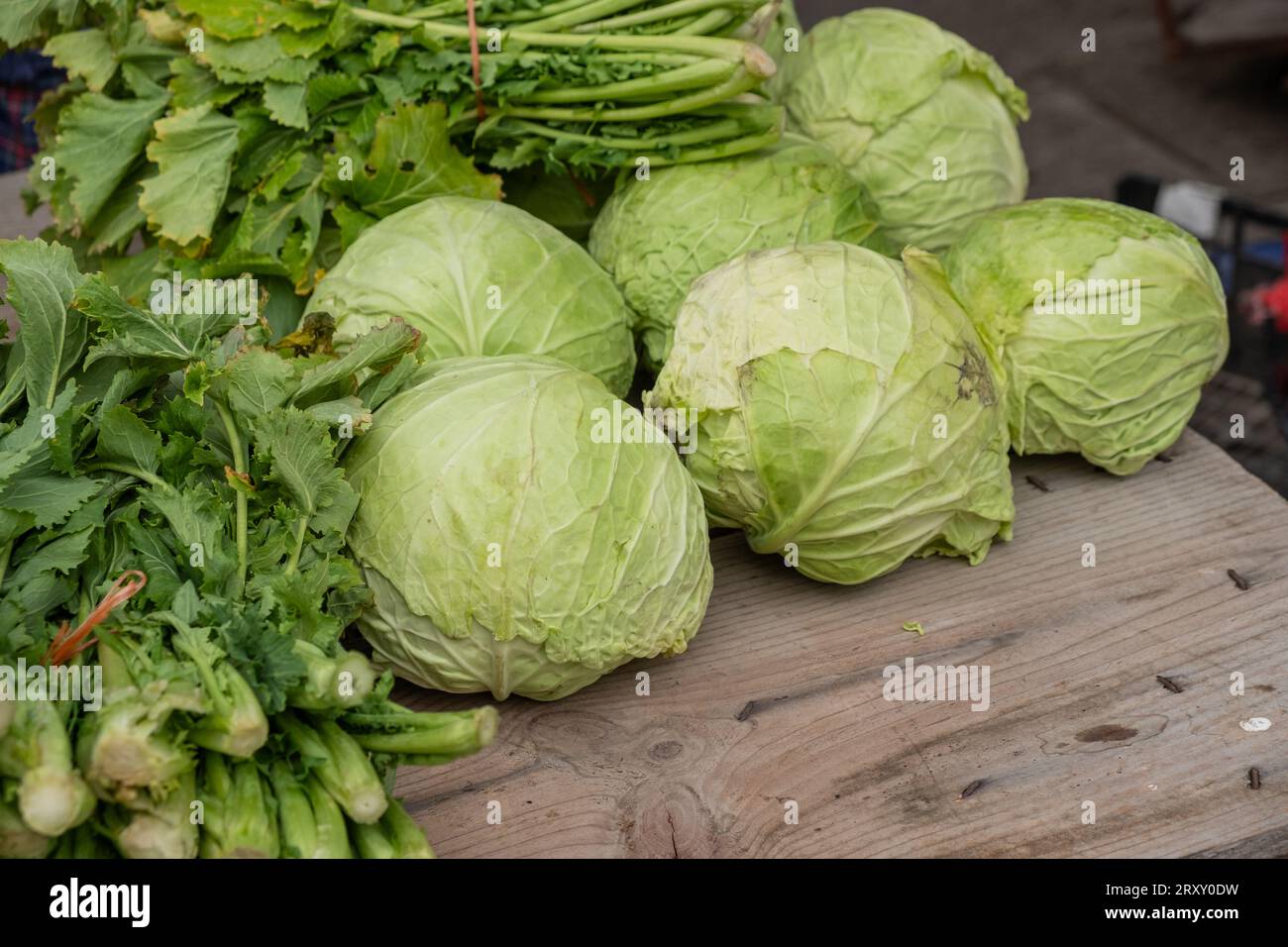 organically grown cabbages and turnip greens in a traditional market