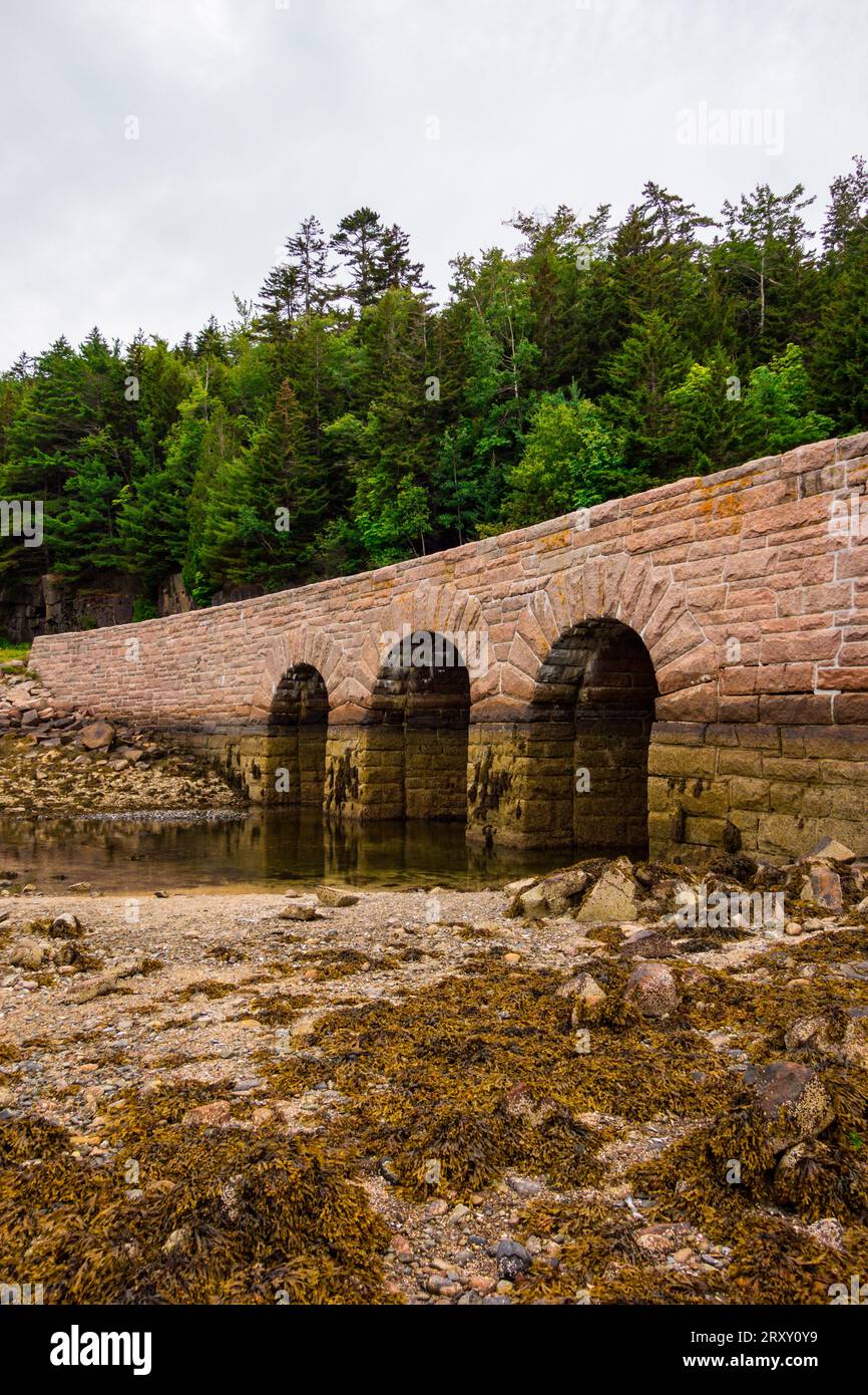Arched bridge in Acadia national Park. Picture taken in the summer on a cloudy day while the tide was low. Stock Photo