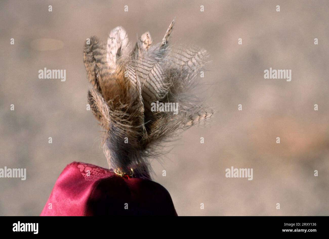 Owl feathers on hat hi-res stock photography and images - Alamy
