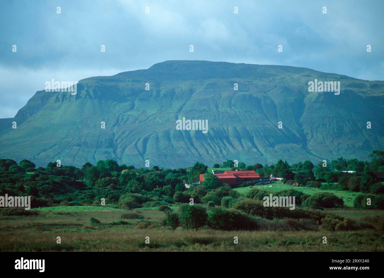 Mountain and farm near Bundoran, County Donegal, Ireland, Mountain and