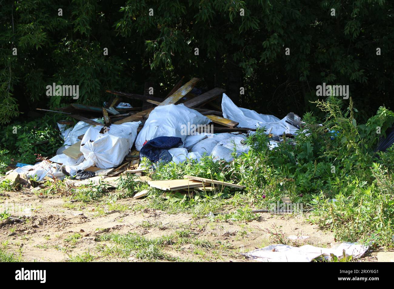 Spontaneous dump of construction waste on the side of the forest Stock ...