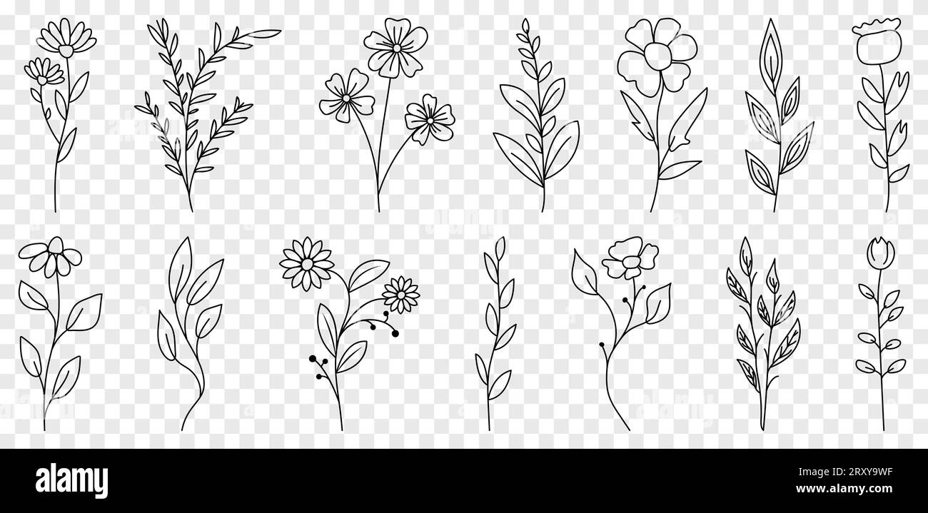 Set of hand drawn flower icons. Vector illustration isolated on transparent background Stock
