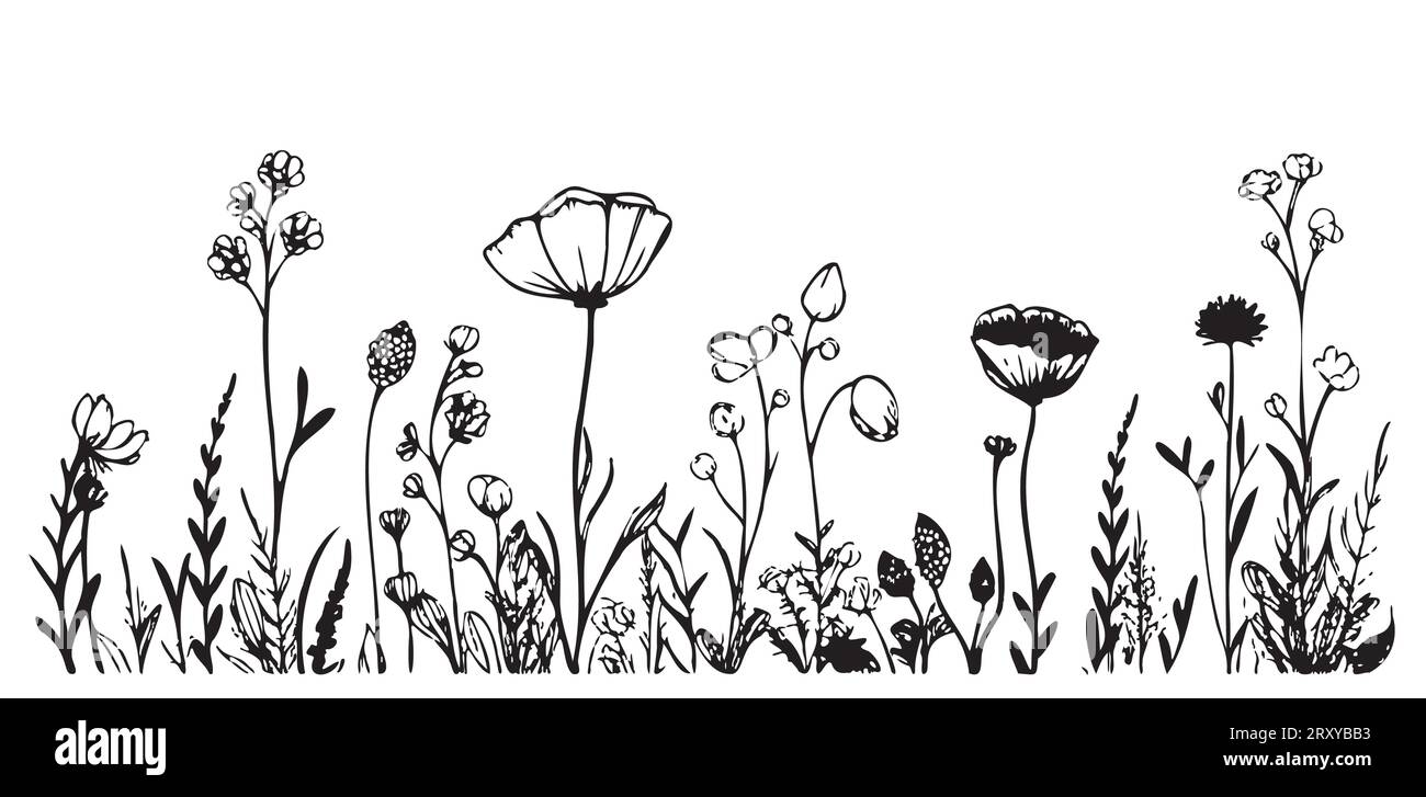 Black and white grass sketch hi-res stock photography and images - Alamy