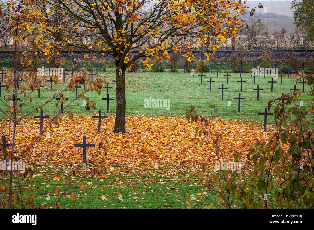 WWI Hautecourt German military cemetery, Verdun, France with lines of