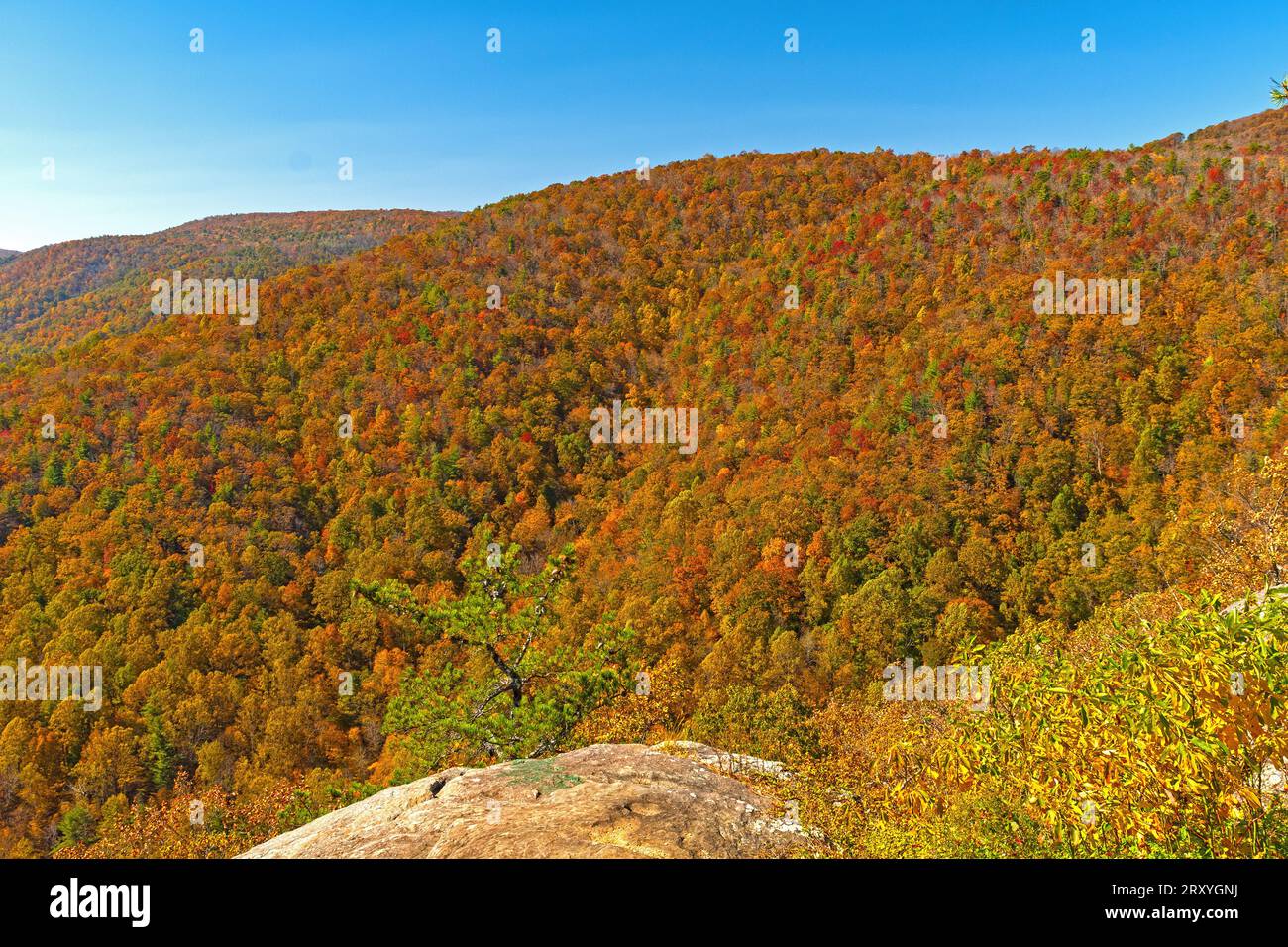 Fall Panorama in the Blue Ridge Mountains on the Blue Ridge Parkway in