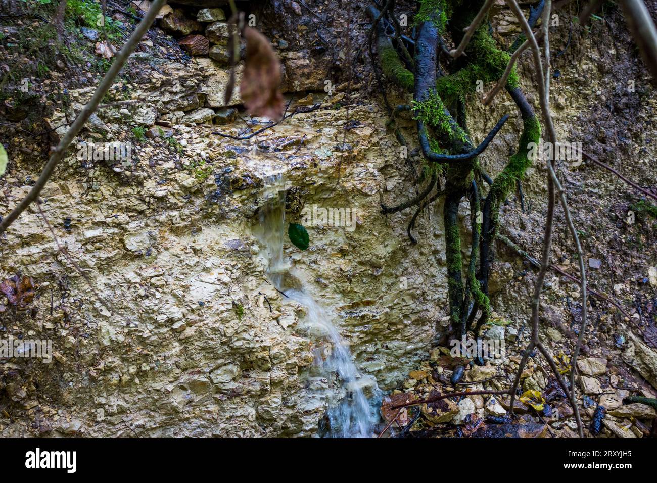 A spring in the forest flowing along a rocky slope of marl Stock Photo