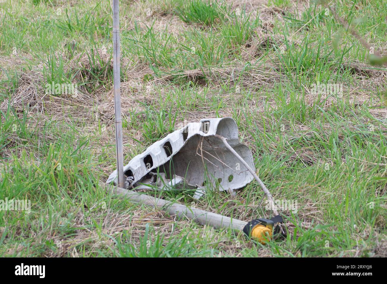 Harefield, UK. 27th September, 2023. A now dead tree sapling planted by ...