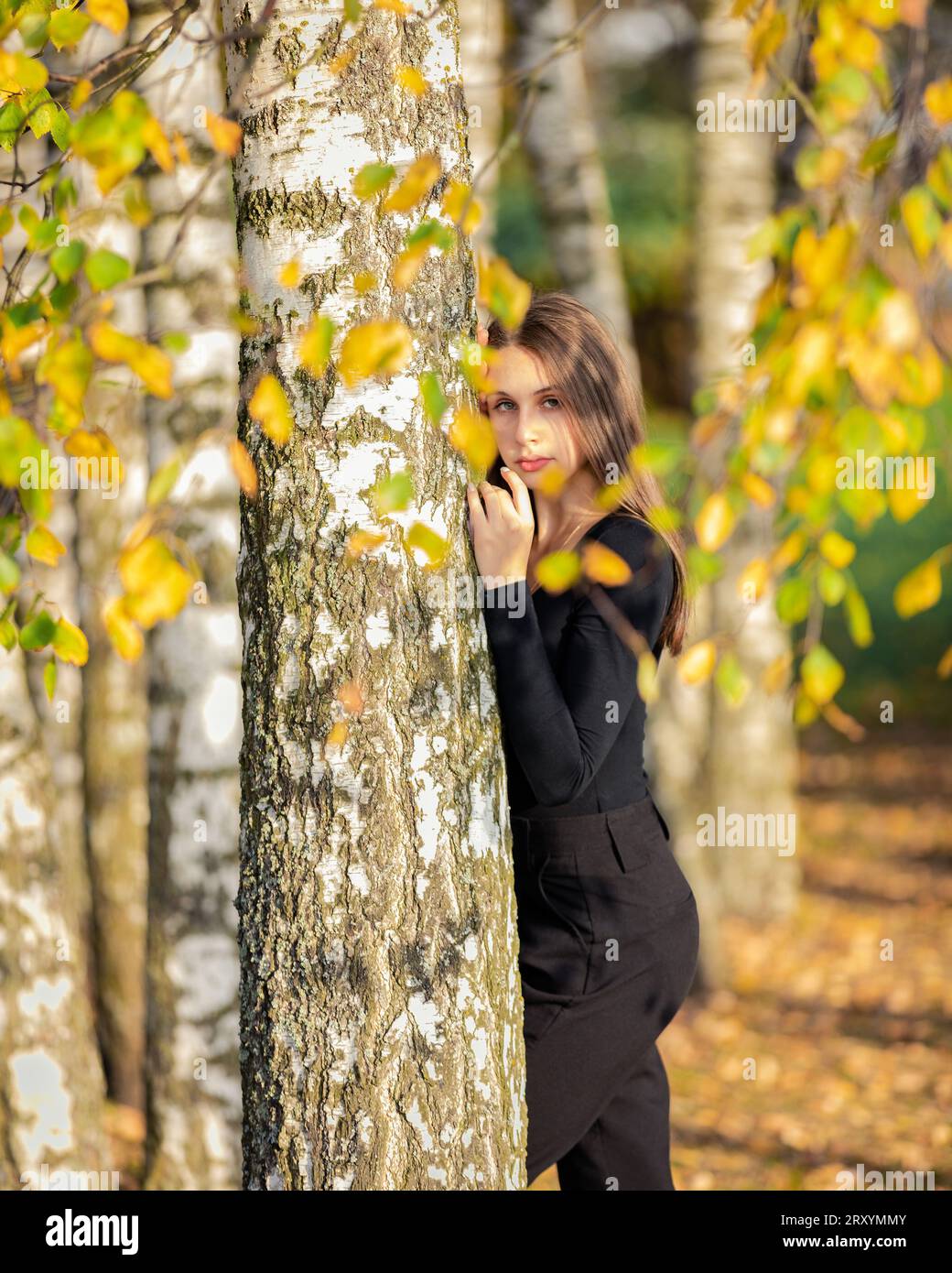 A beautiful girl posing near a birch tree in an autumn park Stock Photo ...