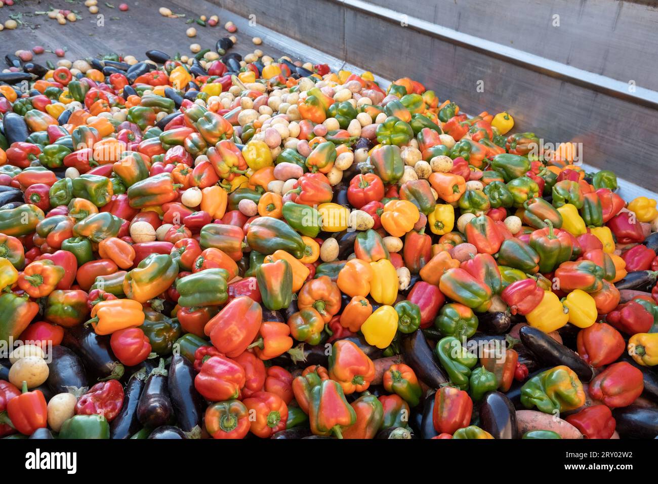 Expired Organic bio waste. Mix Vegetables and fruits in a huge container, Organic Compost heap