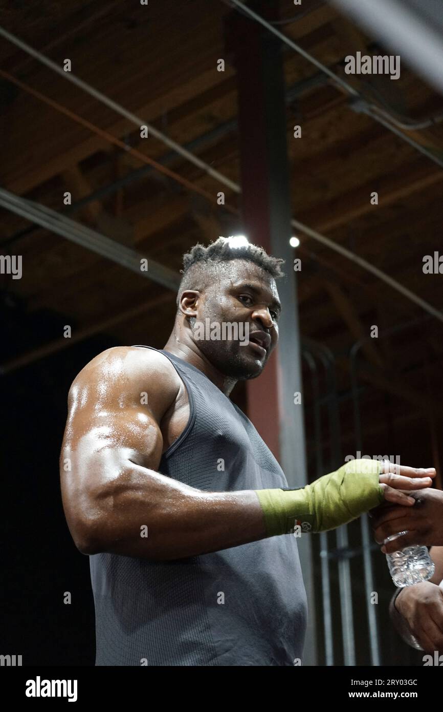 LAS VEGAS, NV - SEPTEMBER 26: Francis Ngannou at the Tyson Fury vs