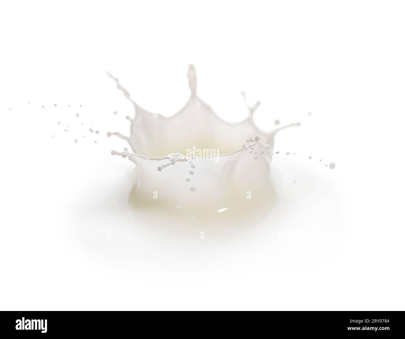 Spring Flush Milk Splash of fresh milk isolated on white Stock Photo - Alamy