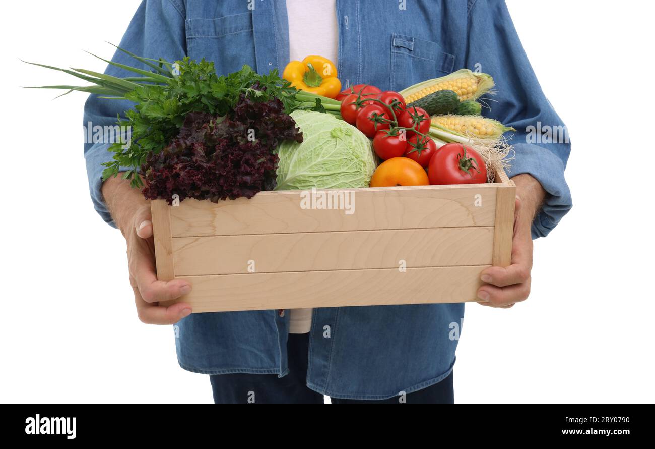Harvesting season. Farmer holding wooden crate with vegetables on white ...