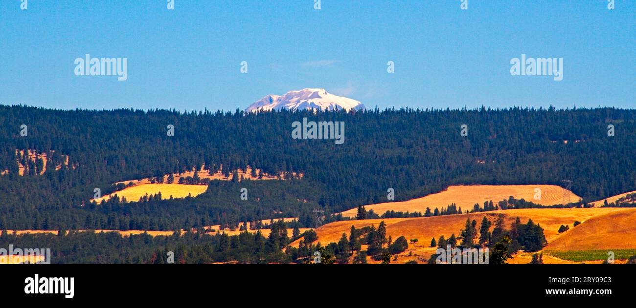 Landscape of Washington state with Mt. Adams in the distance Stock ...