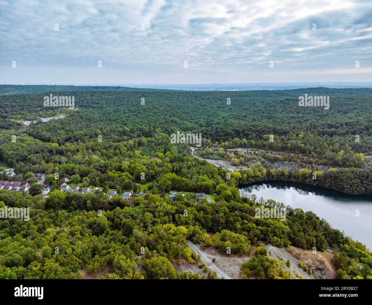 Heavily wooded area. Stock Photo