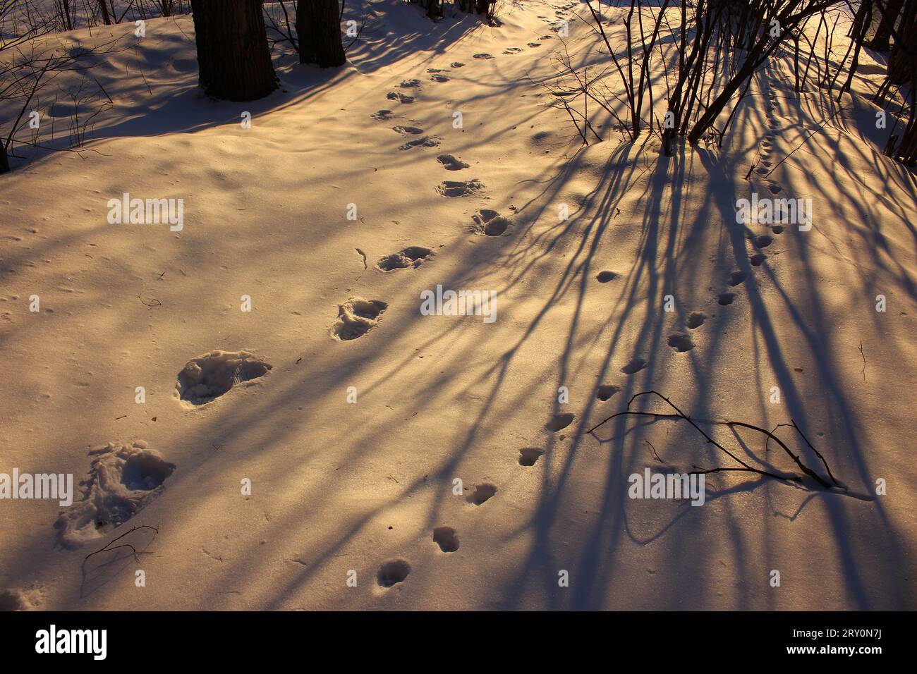 Human traces snow landscape hi-res stock photography and images - Alamy