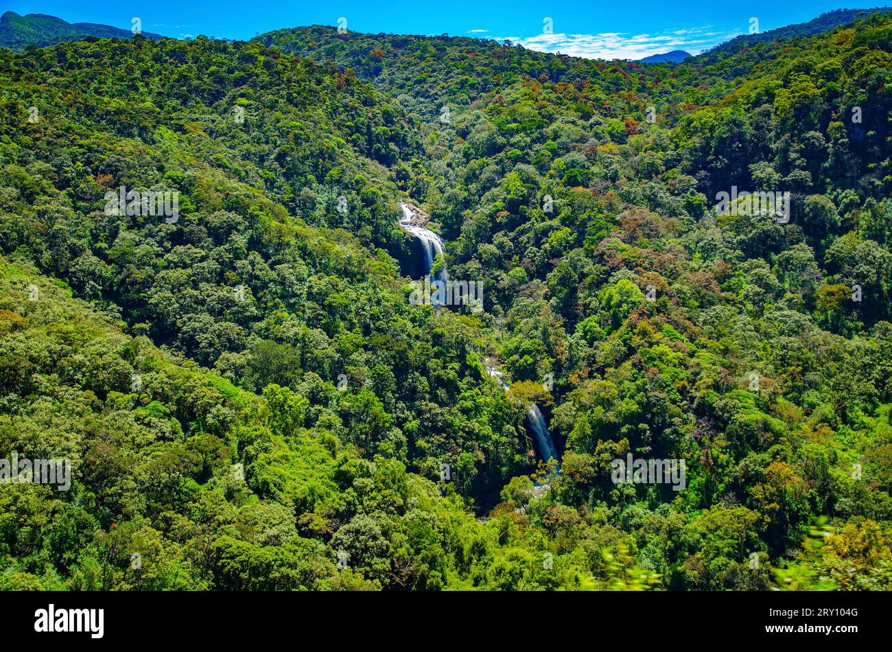Waterfall in the wild jungles of Ceylon (Sri Lanka) Stock Photo