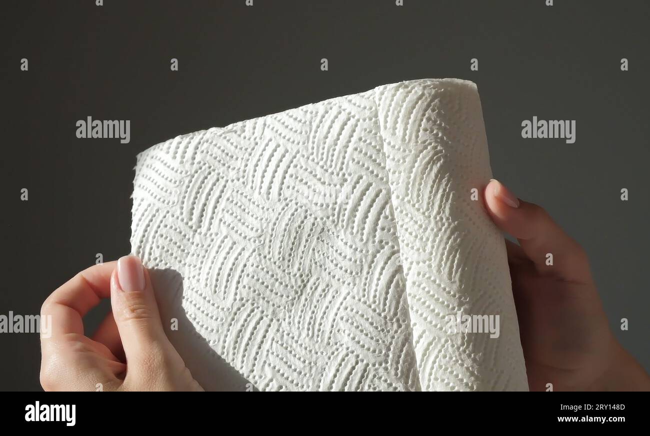 Female hands tear off piece of white paper towel from a roll. House cleaning concept. Close up, daylight. High quality photo Stock Photo