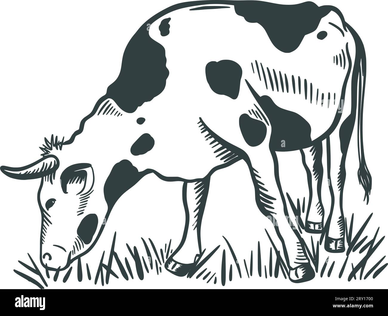 Cow grazing in a meadow ink sketch Stock Vector