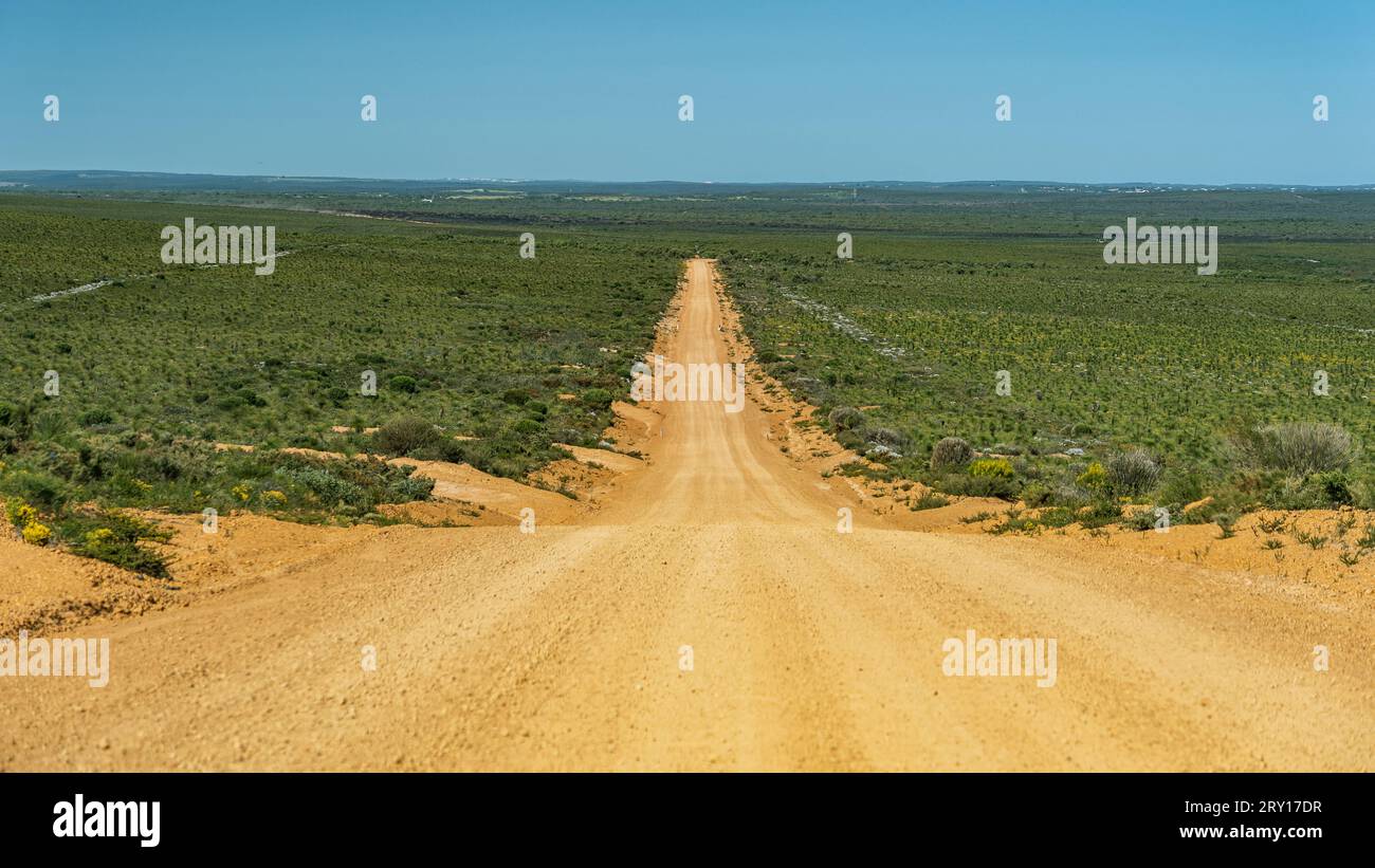 Unsealed road through the Lesueur National Park, WA, Australia Stock Photo