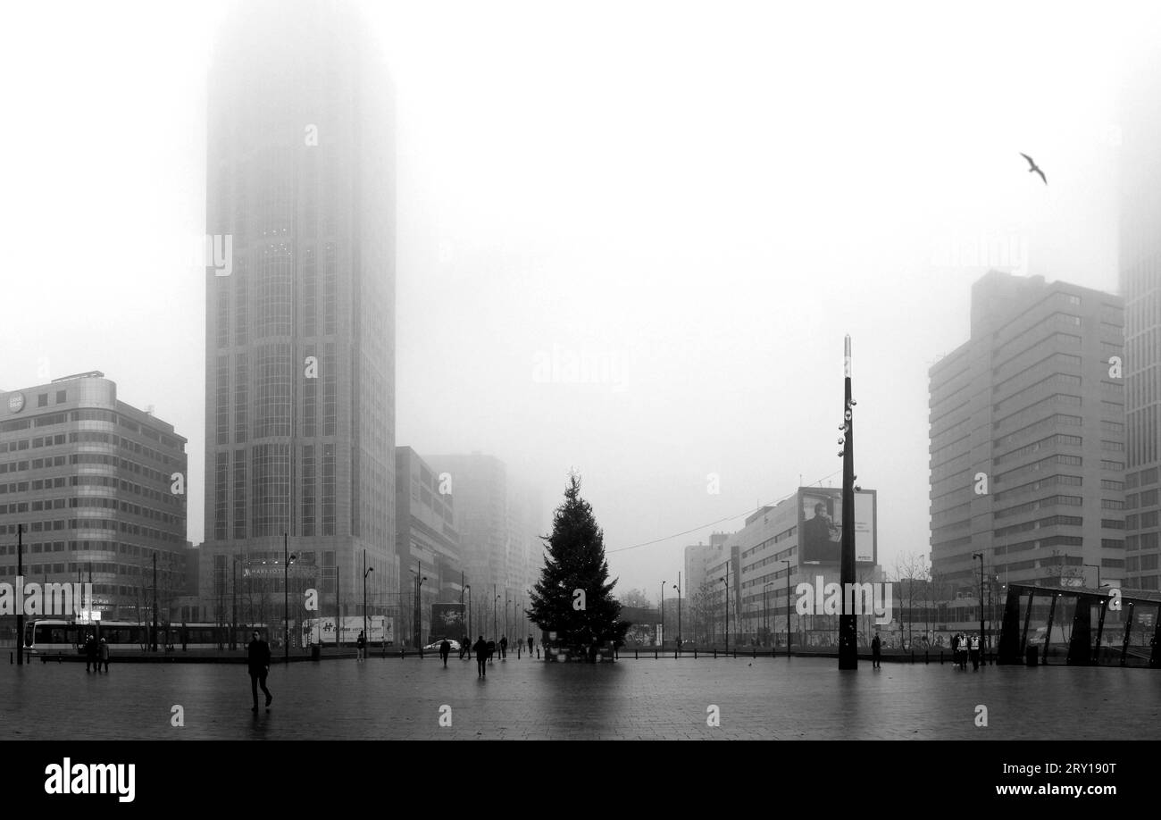 Train rotterdam Black and White Stock Photos & Images - Alamy