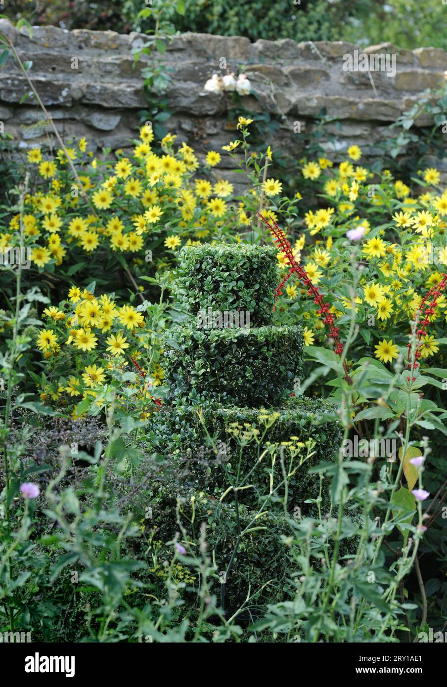 Yew topiary hi-res stock photography and images - Alamy