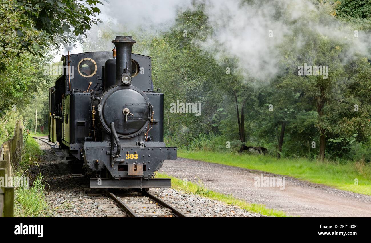 Steam train traveling along the railway line with steam bellowing out the sides and the top Stock Photo