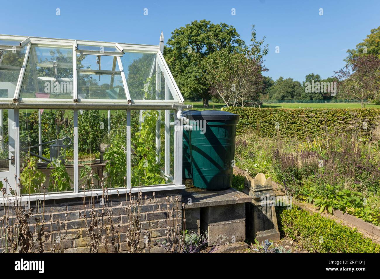 Greenhouse in English vegetable garden Stock Photo Alamy