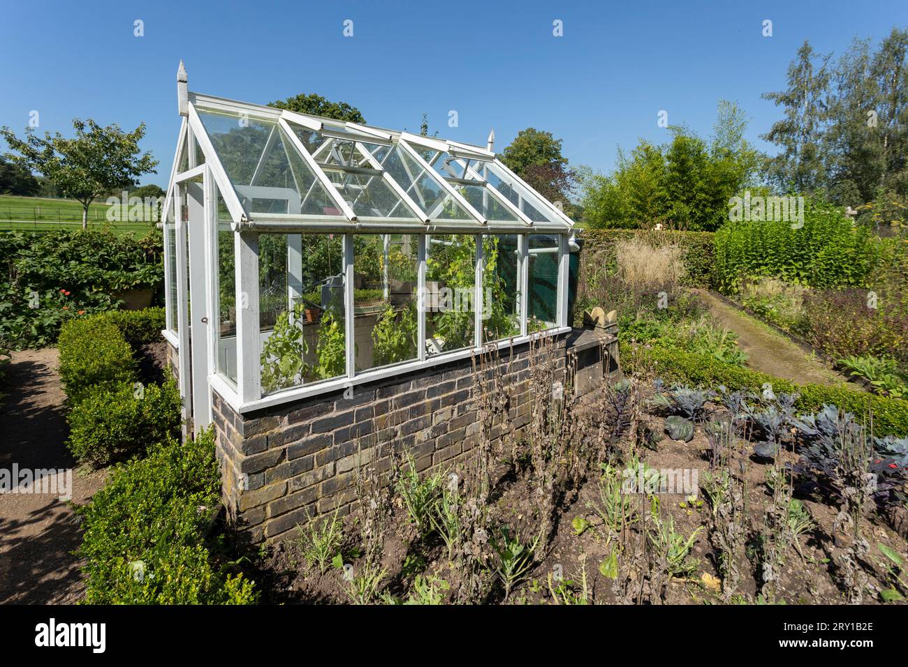 Greenhouse in English vegetable garden Stock Photo Alamy